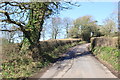 Minor Road at Catherston Leweston in DT6 6DH