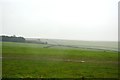 Rolling Devon pasture in TQ9 7QP