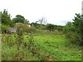 Derelict buildings off Andrews Farm Lane in CM6 2DP