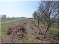 Trackbed of the old Southwold Railway in IP18 6UZ