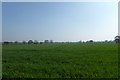 Looking across farmland from Old Street in LS24 8JQ