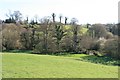 Footbridge over River Synderford near Thorncombe in TA20 4NB