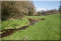 River Synderford near Thorncombe in TA20 4PY