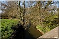 Looking up the River Yeo from Yeo Bridge (B3220) in EX17 6DT