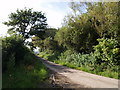 Lane past Bridge Farm in EX21 5QQ