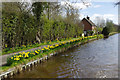 Llangollen Canal, St Martin's Moor in SY10 7BG