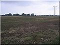 Field at Kirby-le-Soken in Frinton and Walton
