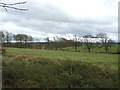 Grazing west of Falkirk in FK1 5NP