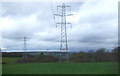 Grazing and pylons west of Falkirk in FK1 4RS