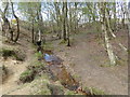 Stream in Ashdown Forest in TN22 3BG