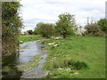 River Thames below Old Mill Farm in GL7 6EW