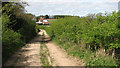 Track south of Claxton church in NR14 7AS