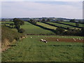 Farmland north of Sheepwash in Sheepwash