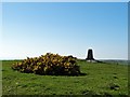 Triangulation pillar west of Aberffraw in LL63 5PJ