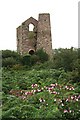 Daubuz' Engine House at South Wheal Frances in TR15 3YD