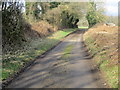 Nutbane lane near Wood View in SP11 9JE