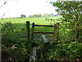 Footpath leaving woodland by stile in RH12 3AT