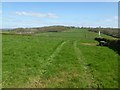 Farmland near Twyn-yr-argoed in NP15 2EZ
