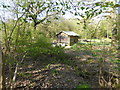 Hut under construction in GU6 7SW