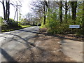 Looking westwards along Horsham Lane from footpath junction in GU6 7SW
