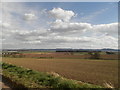Farmland near Fifebanks in DD2 5LJ