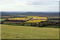 A view from White Horse Hill in SN6 8NT