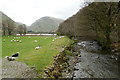 Goldrill Beck from Cow Bridge at Hartsop in CA11 0NY