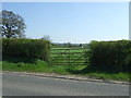 Field entrance off the B4089 in Kinwarton