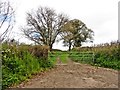 Farm track near Cokers Ash in EX13 7TN