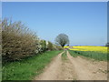 Farm track (footpath), Lower Wavensmere in B95 6BW