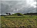 Bryn Celli Ddu, Anglesey in LL60 6EL