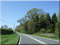 Woodland beside the A4189 in B95 5NX