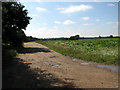 Farm track in Gunton Park in NR11 7HL
