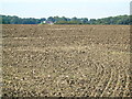 Ploughed Field in SG12 0NX