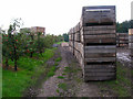 Apple Bins, Nickle Farm in CT4 7LS