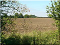 Ploughed fields in SG2 7JD