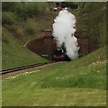 Flying Scotsman Emerging from Tunnel in RH19 4PY