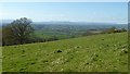 View of the Black Mountains from Craig-y-dorth in NP25 4JT
