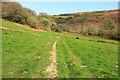 Bridleway approaching Dolly's Cot in TQ13 7PS
