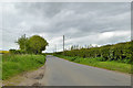 Road west from Winterborne Kingston in DT11 9BF