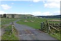 Cattle grid on road to Lanshot in NE19 1BY