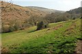 East Dart valley below Brimpts in TQ13 7PS