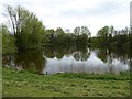 Lake in Arrow Valley Park in B98 0AJ