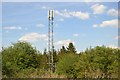 Mast, Stainswick Copse in SN6 8GG
