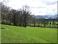Fields below Applethwaite in CA12 4PN