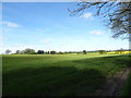 Farmland seen from the edge of South Creake Churchyard in NR21 9JE