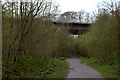 Cycle path nearing Greta bridge in CA12 4TD