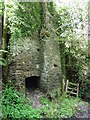 Ruins of old mill, Kersham Wood in TA24 7BW