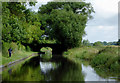 Roseford Bridge north of Acton Trussell, Staffordshire in ST17 0RA