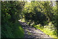 Lane climbing the hill at Trewreiddig in SA42 0SR
